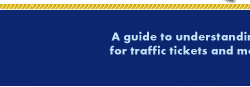 Traffic Ticket Guide